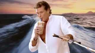 David Hasselhoff  Thirsty for Love  The Hoff is thirsty [upl. by Oeht]