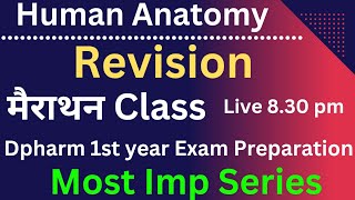 Human Anatomy Fast revision Chapter 1 23 in hindi Eng mix  Dpharm 1st year in hindi [upl. by Leasim]