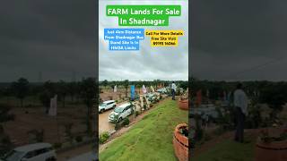 Agriculture Lands For Sale In ShadnagarAgriculture Plots For Sale In HyderabadFarm House For sale [upl. by Ythomit]