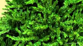 75 ft Ponderosa Pine Prelit Christmas Tree  Product Review Video [upl. by Enahsed]