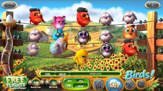 Birds Slot Features and Game Play  by BetSoft [upl. by Llerrod286]