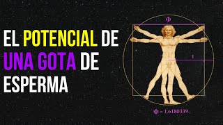 💧La GRANDEZA de Una SOLA GOTA DE SEMINIS No la DESPERDICIES Retención y Transformación de lENERGÍA [upl. by Peers]