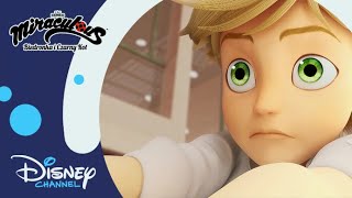 🍝 Rada Ruchu Oporu  Miraculous Biedronka i Czarny Kot  Disney Channel Polska [upl. by Talia]