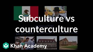 Subculture vs counterculture  Society and Culture  MCAT  Khan Academy [upl. by Aknahs222]