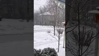 Snow fall in Fairfield iowa Jan 14 2022 [upl. by Hime]