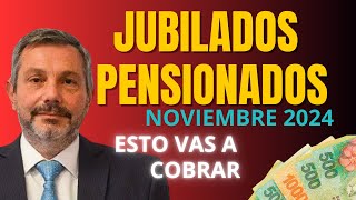 CUÁNDO Y CUÁNTO COBRÓ ANSES en NOVIEMBRE 2024 JUBILADOS PENSIONADOS y ASIGNACIONES [upl. by Accber]