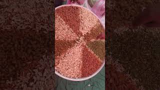 BADAM KAJU KISHMISH PISTA HALVA bollywood song [upl. by Tolland]