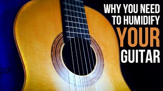 GUITAR TIP Why you NEED to humidify your guitar [upl. by Radke]