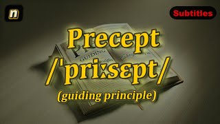 n Precept meaning guiding principle with 5 examples [upl. by Ahtar71]