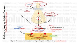 GPAT Exclusive Antidote for Organophosphorus Poisoning  Atropine Mechanism of Action as Antidotes [upl. by Llewop305]