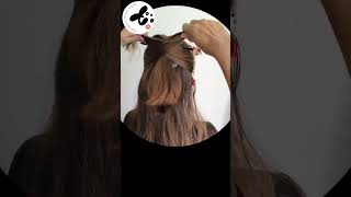 Coiffure chinoise pour cheveux mi longs hanwenshop hairtutorial chinastyle coiffurefacile [upl. by Schott524]