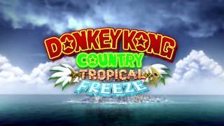 Level 2Boss Mountaintop Tussle  Donkey Kong Country Tropical Freeze  Music [upl. by Paolo]