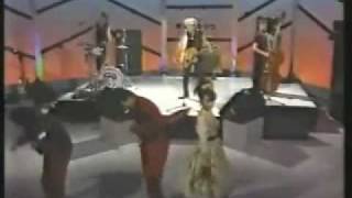 stray cats in 1980 on Japon tv showmp4 [upl. by Hillman]