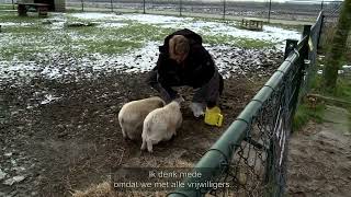 Waarderingsprijs 2024  Kinderboerderij Beatrixhoeve [upl. by Aicatsanna604]