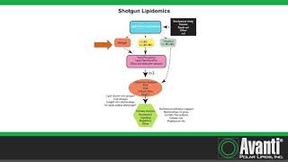 Mass Spectrometric Approaches to Lipidomic Studies [upl. by Humo281]