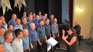 Fix You Coldplay  Low Rez Male Choir at ChillOut Festival 2017 in Daylesford [upl. by Zandra5]