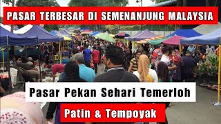 Pasar Pekan Sehari Temerloh Cari Ikan Termeloh [upl. by Ike]