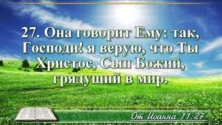 ВидеоБиблия Евангелие от Иоанна без музыки глава 11 читает Бондаренко [upl. by Dillie748]