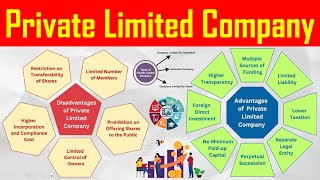 Private Limited Company  Definition Formation and Types of Company Explained with Example [upl. by Aicekan770]