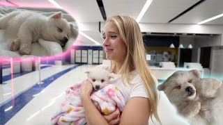 Girl FREAKS OUT After Seeing New Adorable New Puppy [upl. by Linad]