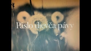 Bystrík banda amp Mária Čírová  Páslo dievča pávy Lyric video [upl. by Prue]