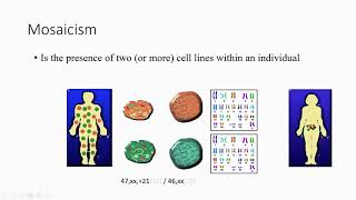 18 introduction to genetics Character Trait Somatic Germline Mosaicism Homologous Chromosomes [upl. by Tiphani]