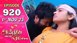 Anbe Vaa Serial  Episode 920  1st Nov 2023  Virat  Delna Davis  Saregama TV Shows Tamil [upl. by Richie]