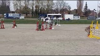 Cahil v Cornet Obolensky und Lucas Wenz  Platz 4 im MSpringen [upl. by Airamesor]