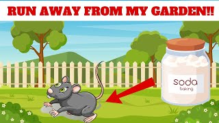 How to Keep Rats Out of the Garden  This Trick Will Work [upl. by Gelasius]