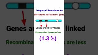 Linkage and Recombination  Drosophila [upl. by Gerty]