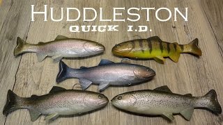 Quick MOD Identify your Huddleston trout ROF [upl. by Mikahs908]