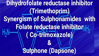 Trimethoprim Cotrimaxazole amp Dapsone [upl. by Little463]