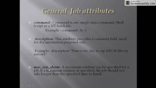 Autosys Job Attributes in details Class 9 [upl. by Heron]