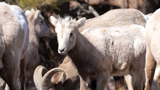 The Nebraska Natural Legacy Project [upl. by Holder]