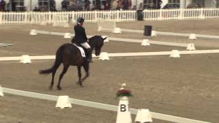 Ecco FEI European Championships 2013 Herning  ParaDressage Day 2 Highlights [upl. by Nwahsear4]