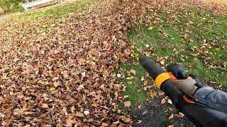 66  My FIRST LEAF CLEANUP this season Fresh Cut Mowing [upl. by Sulohcin]