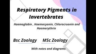 Haemoglobin  Respiratory Pigment in invertebrates with notes Part 1 [upl. by Wier271]