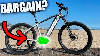 Overpriced Electric Bikes DO NOT Want You To See This quotMid Drivequot EMTB [upl. by Annawt]