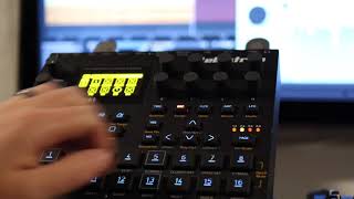 Melodic Digitakt beat with Felt Instruments Lekko [upl. by Alicul]