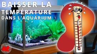 Comment refroidir un aquarium en été par forte chaleur [upl. by Hedveh]