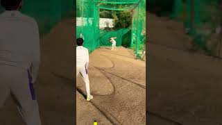 Leg spinner cricket trending bcci youtubeshorts short [upl. by Weisbrodt377]