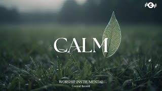 CALM  Soaking worship instrumental  Prayer and Devotional [upl. by Keisling]