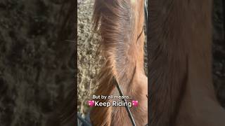 Keep riding💖horse equestrian [upl. by Xad]