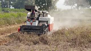 କଳାହାଣ୍ଡି ଧାନ କଟିଙ୍ଗ  KUBOTA HARVESTA DC68G kubota kalahandi odisha chhattisgarh farmer [upl. by Ahseel343]