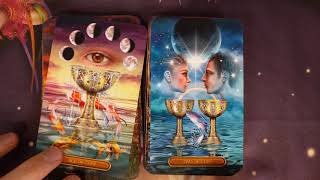 Easy Tarot Gilded Tarot 🃏 Ciro Marchetti  Flip Throught  Revisão de Deck [upl. by Stacey]