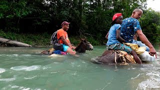 Con el rio hondo Vamos a Medre Vieja donde Maritza La vida del campo [upl. by Kirt]