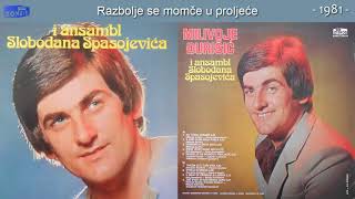 Milivoje Djurisic  Razbolje se momce u prolece  Audio 1981 [upl. by Hubbard446]