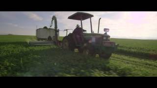 Organic Farming  From Seed to Supplement  Amway [upl. by Enairb752]