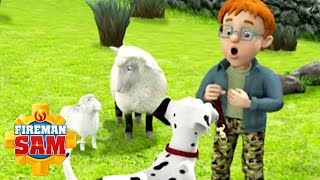 Fireman Sam US Official Radar Tries to Be a Sheep Dog [upl. by Kihtrak]