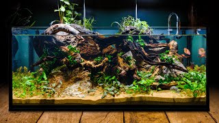 Perfecting the Low Tech Fish Tank in DIY IKEA Aquarium [upl. by Hcahsem634]